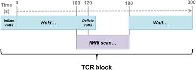 The Spatiotemporal Dynamics of Cerebral Autoregulation in Functional Magnetic Resonance Imaging